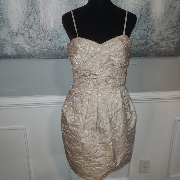 NWT Max & Cleo  Strapless tulip hem Cocktail Dress Sz-6 - Picture 1 of 12